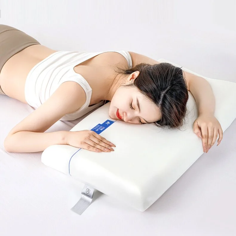 Standard Thickness Bread Memory Foam Pillow